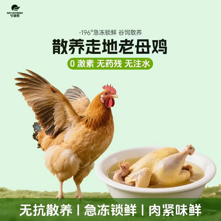 【今聚鲜】三只装谷物喂养农家老母鸡 走地老母鸡 2-2.5斤/只 