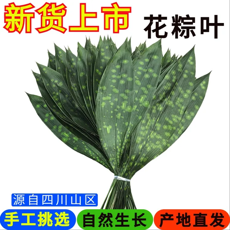 四川花粽叶新鲜粽子云南粽叶铜钱花大粽子叶箬叶铜钱花小米花包邮