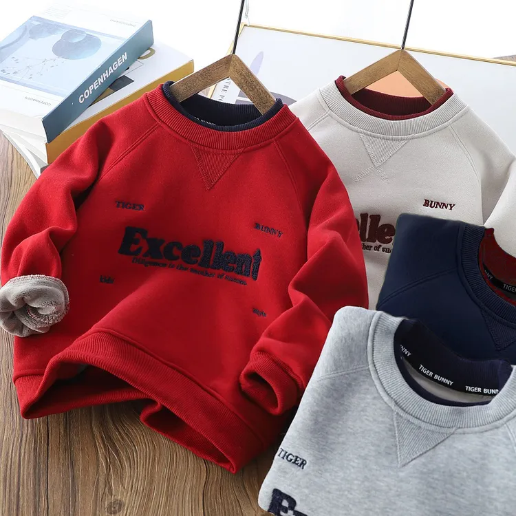 男童加厚密密绒圆领卫衣2025冬季儿童洋气潮上衣中大童保暖加绒衫