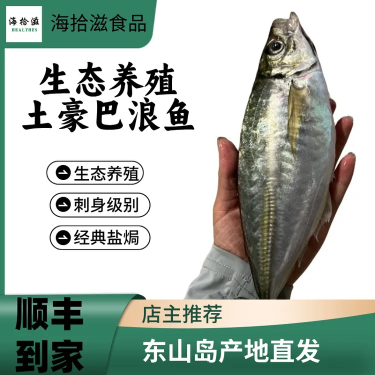 东山岛巴浪鱼养殖土豪巴浪鱼鲜活速冻真空竹荚鱼鲅鱼行走的氨基酸