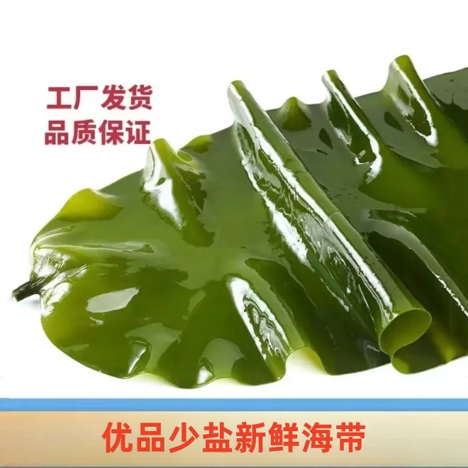 大连高品质少盐新鲜嫩鲜海带5斤/箱（含箱5斤）