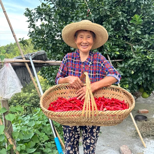 【小卖部坛子菜】村民自制-自愿代买-乡里手工干菜蔬菜小吃土特产