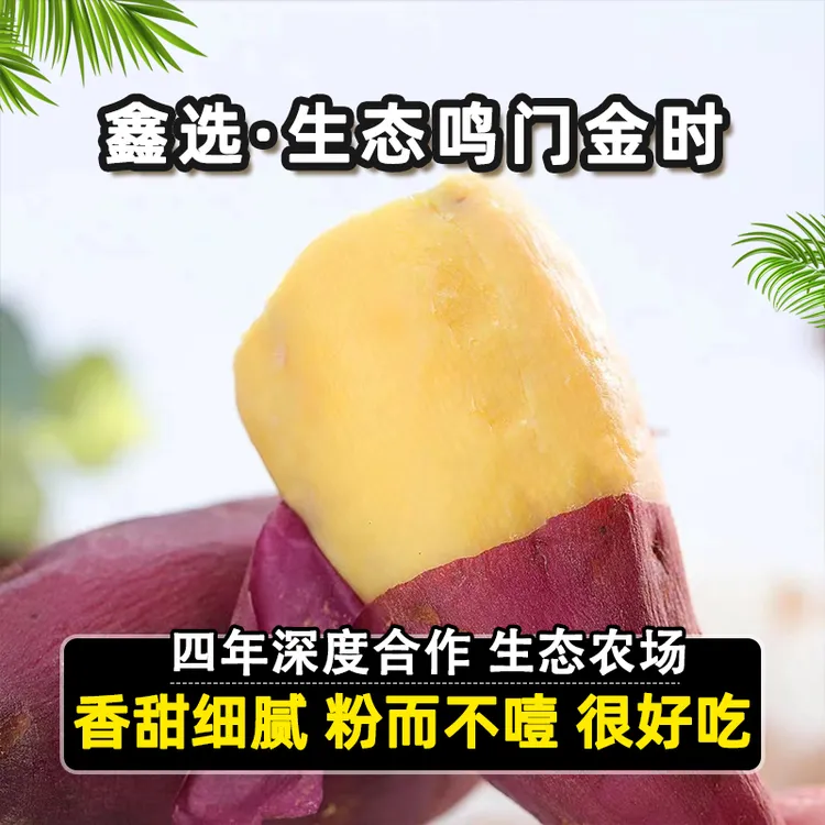 鑫选 海南生态鸣门金时地瓜蜜薯红薯5-10斤 香甜如蜜美味京东直发