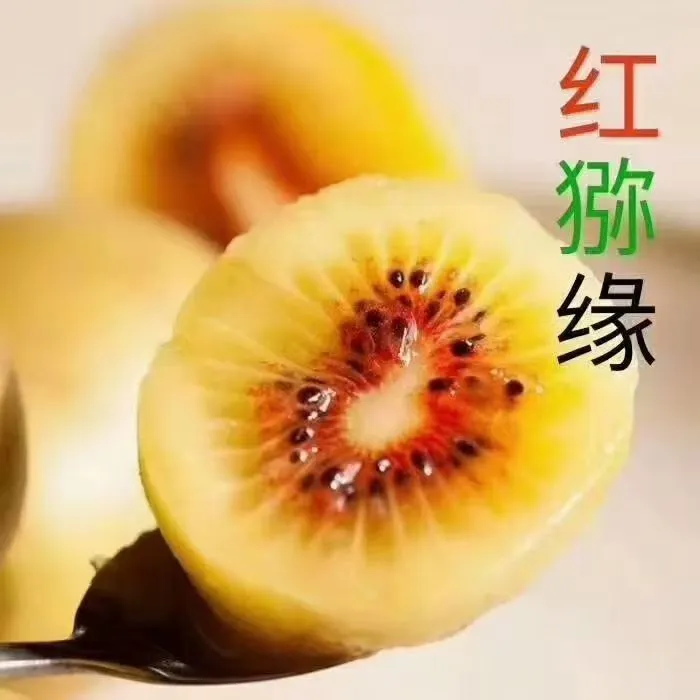 苍溪县元坝镇红心奇异果新鲜当季水果孕妇可食香甜整箱猕猴桃