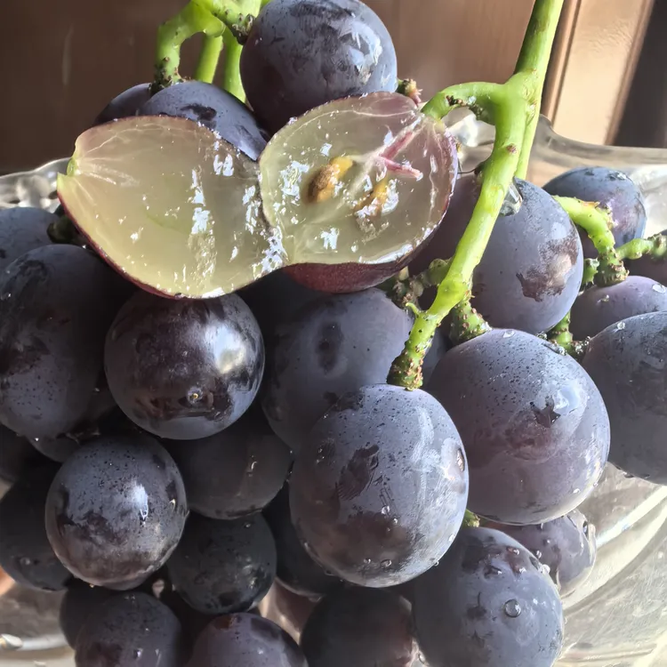 农家巨峰葡萄新鲜当季夏季水果