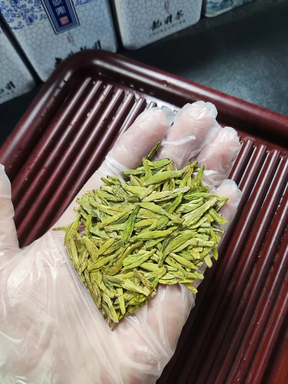 2025年新昌大佛龙井明前高山土茶龙井豆香浓香罐装250克