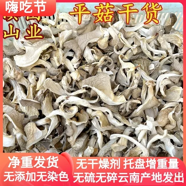 平菇干货250克装云南山珍香菇煲汤食材山珍凤尾菇食用农产品