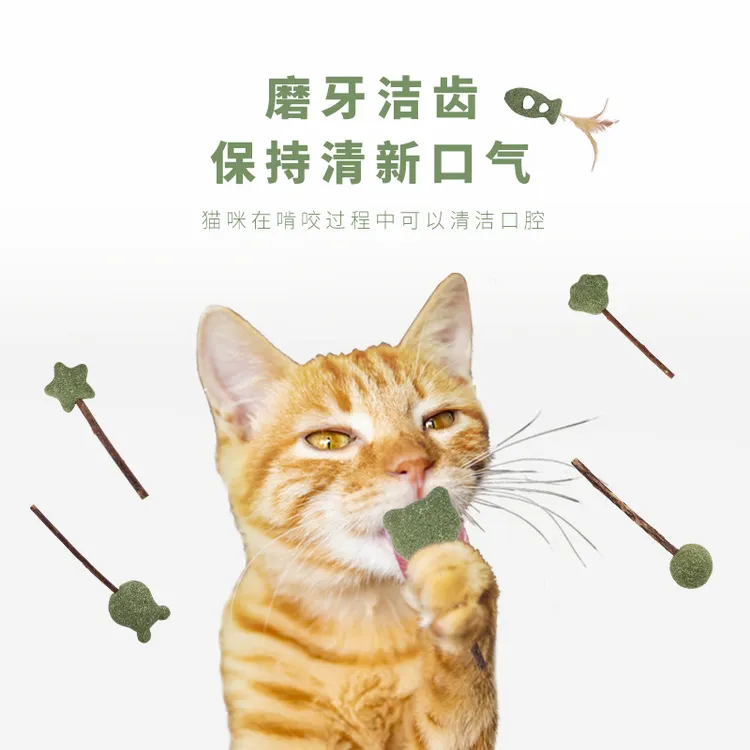 新款猫薄荷棒棒糖 洁齿磨牙木天蓼棒 猫薄荷羽毛自嗨用品