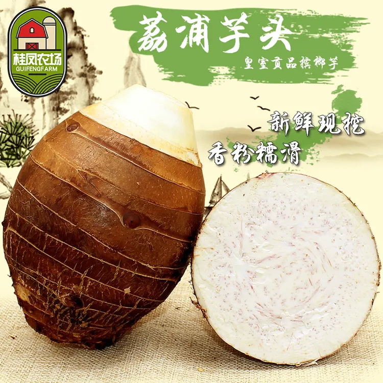 桂凤农场2广西荔浦芋头香软粉面新鲜香芋紫藤芋农场直发新鲜当季