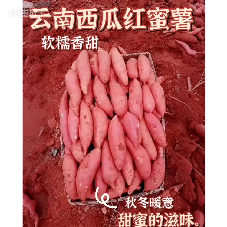 云南高山沙土西瓜红蜜薯新鲜现挖薄皮香甜无丝超美味