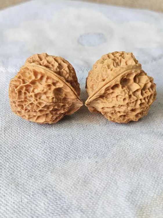云铁珊瑚纹核桃一物一图