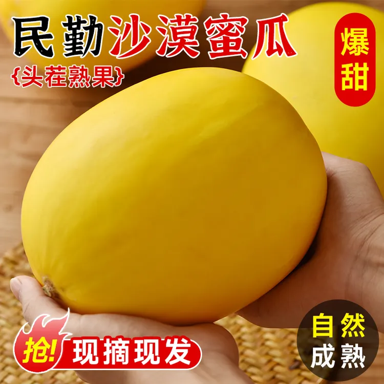 【9斤整箱】民勤甜瓜黄河蜜瓜正宗沙漠当季香瓜红肉新鲜哈密瓜水果