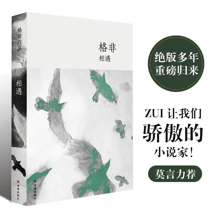 相遇 横跨二十世纪先锋文学年代 茅奖得主格非中短篇代表作全收录