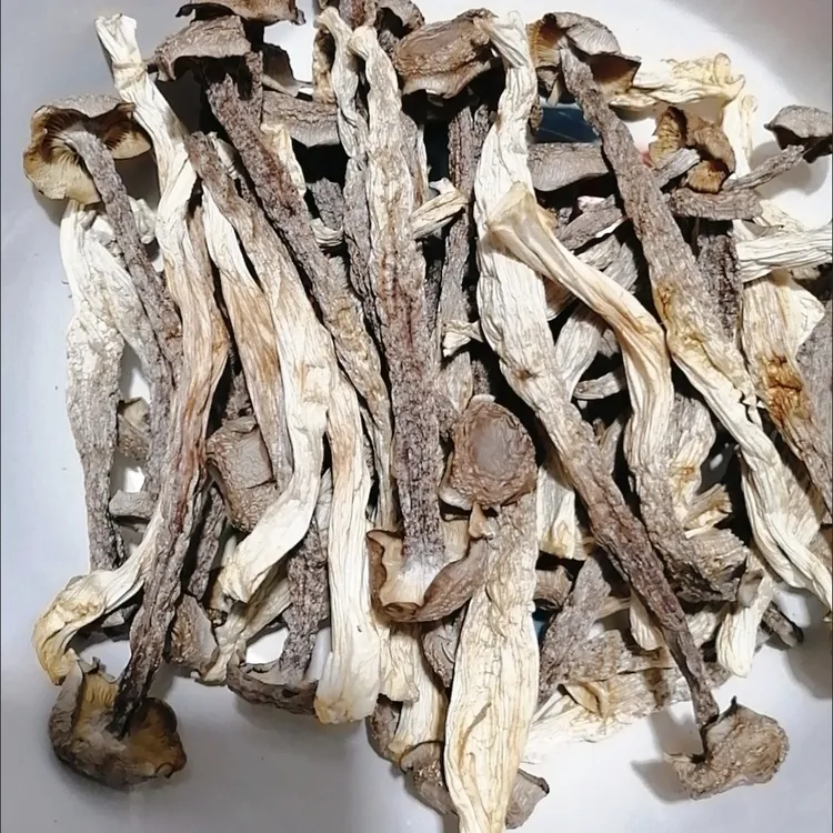 高山无硫无熏精品大个鹿茸菇新货可凉拌炒肉煲汤
