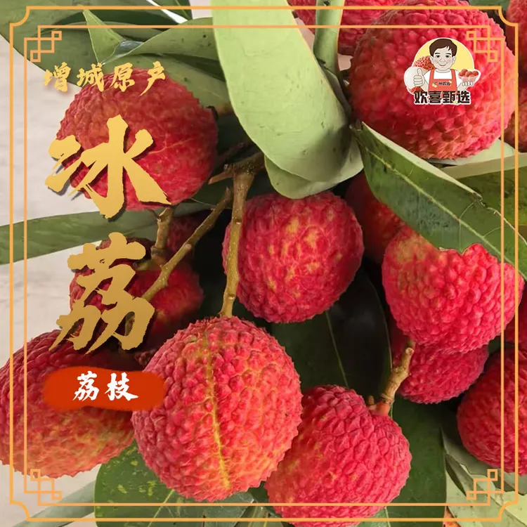 正宗增城荔枝之乡·冰荔【广东省内拍】现摘现发全国冷链空运包邮