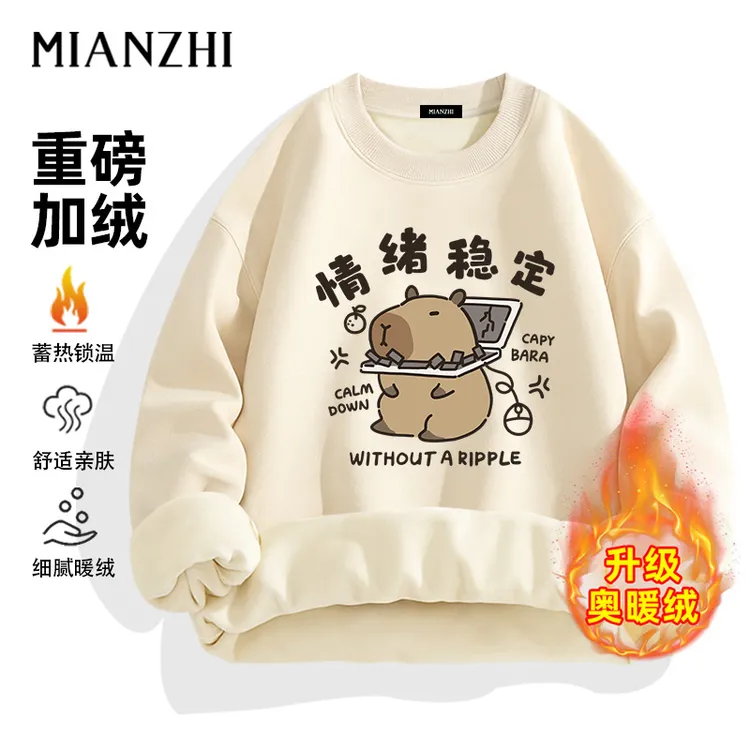 青少年加绒卫衣趣味卡皮巴拉百搭上衣男15-18岁帅气男生大码外套