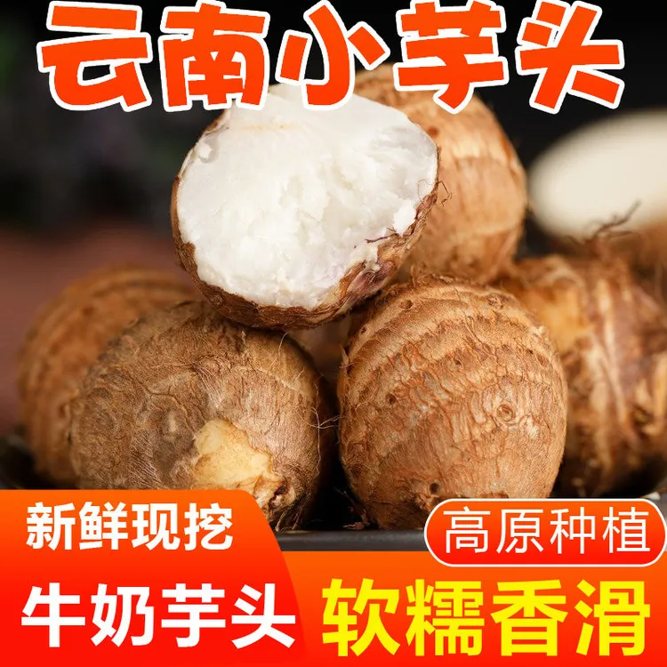 正宗白芽云南牛奶小芋头香芋头香甜毛芋现挖批发新鲜芋艿农家蔬菜