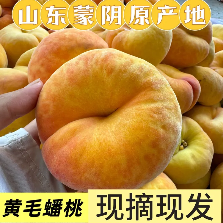 山东蒙阴毛蟠桃新鲜现摘黄心脆甜多汁桃子