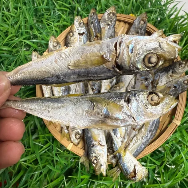 东山岛黄尾巴浪鱼干新鲜淡晒肉质紧实有嚼劲可即食可爆炒