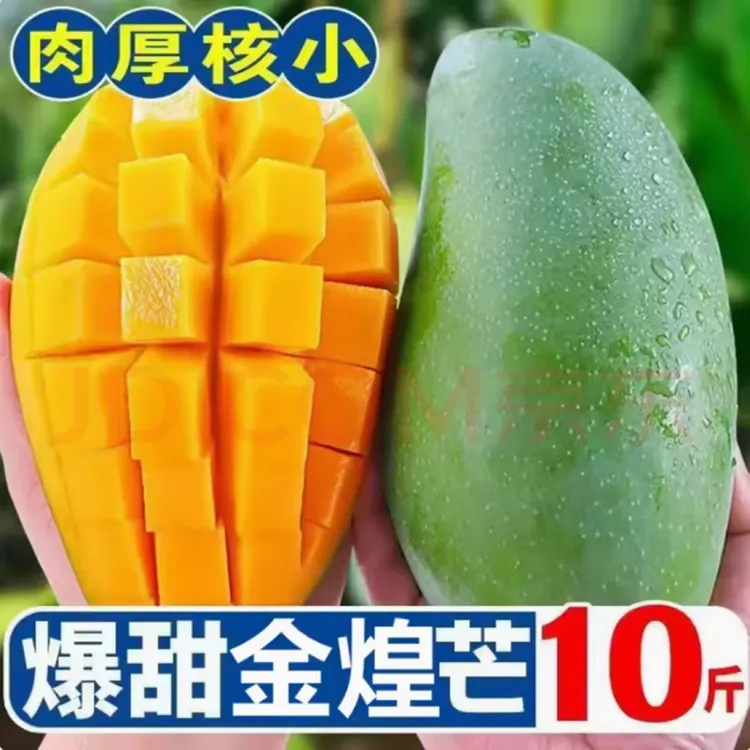 {攀枝花金煌芒}高山金煌芒皮薄肉厚肉厚细嫩化渣香甜变软QQ弹弹果
