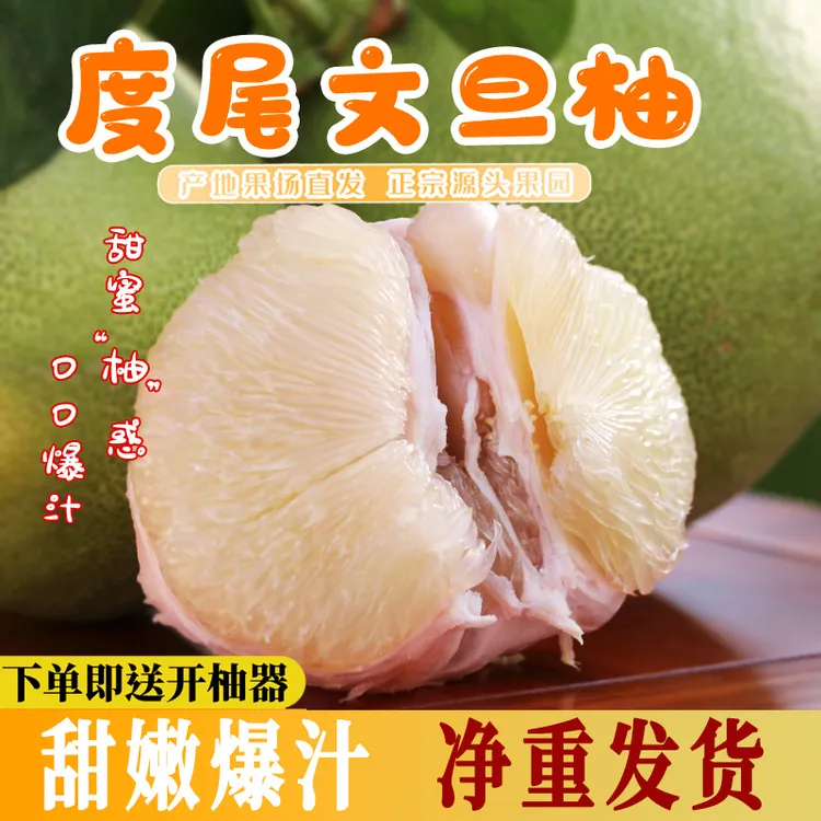 莆田老树度尾文旦柚应季水果时令佳果好吃的柚子新鲜采摘现发