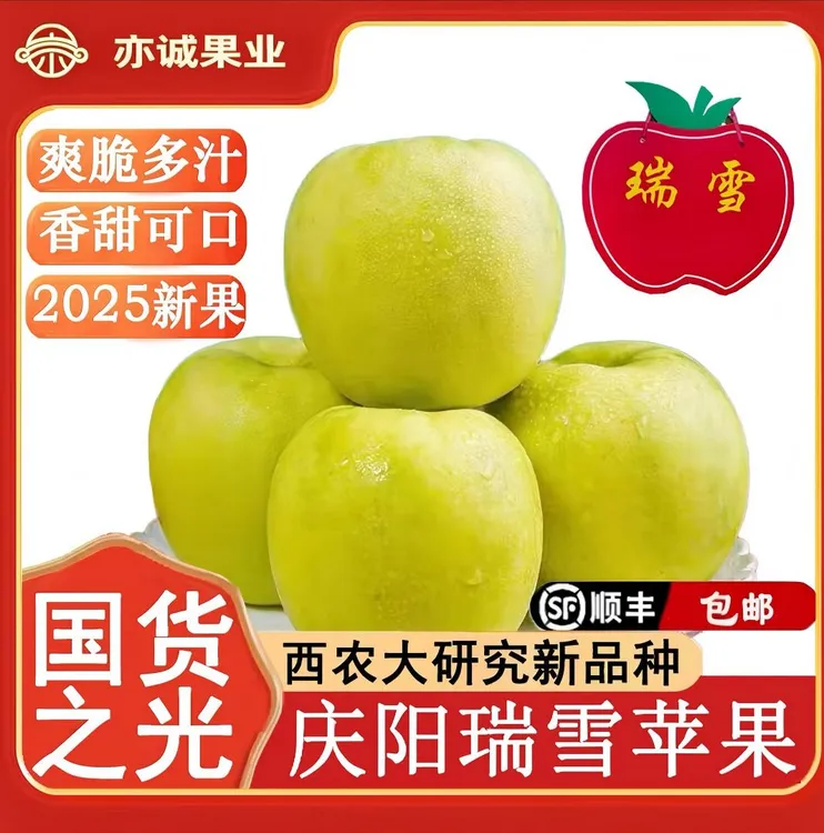 庆阳【国货之光瑞雪高端】苹果高甜蜜脆玫瑰香气产地直发顺丰包邮
