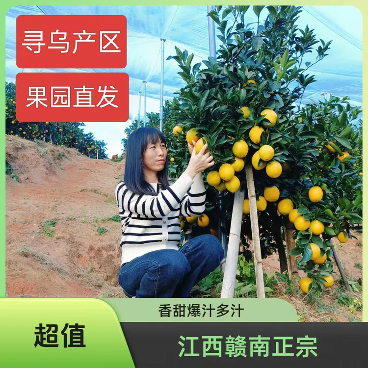 （京东快递）江西寻乌爆甜赣南脐橙带叶现摘水果应季水果橙子
