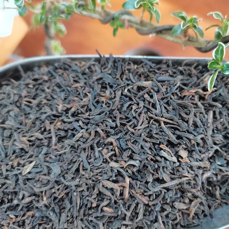 【茉莉六堡.2016年】花香馥郁香气丰富，茉莉花香茶特级花茶