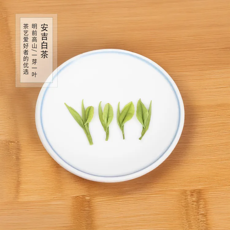 安吉新茶白茶正宗特产老母鸡汤A95 安吉高山白茶绿茶云雾特产茶叶
