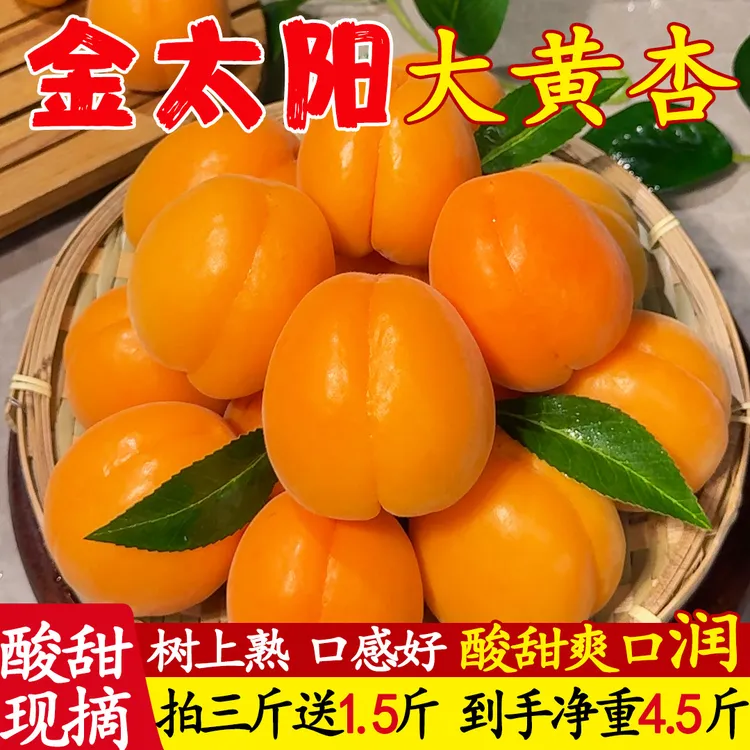 【大黄杏】新鲜现摘大黄杏当季孕妇水果酸甜可口肉厚多汁产地直发商品图
