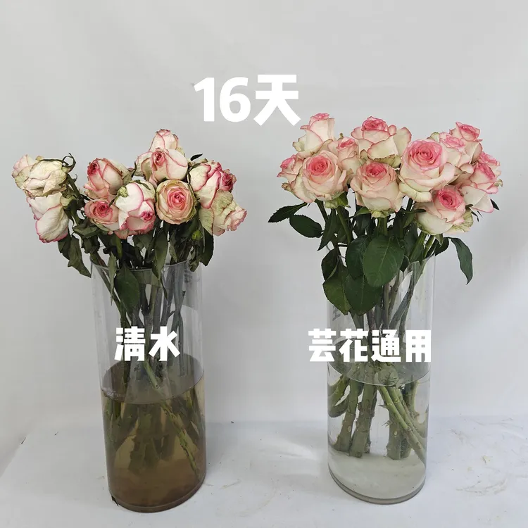 鲜花保鲜剂鲜切花醒花液通用玫瑰花郁金香鲜花保鲜剂延长花期
