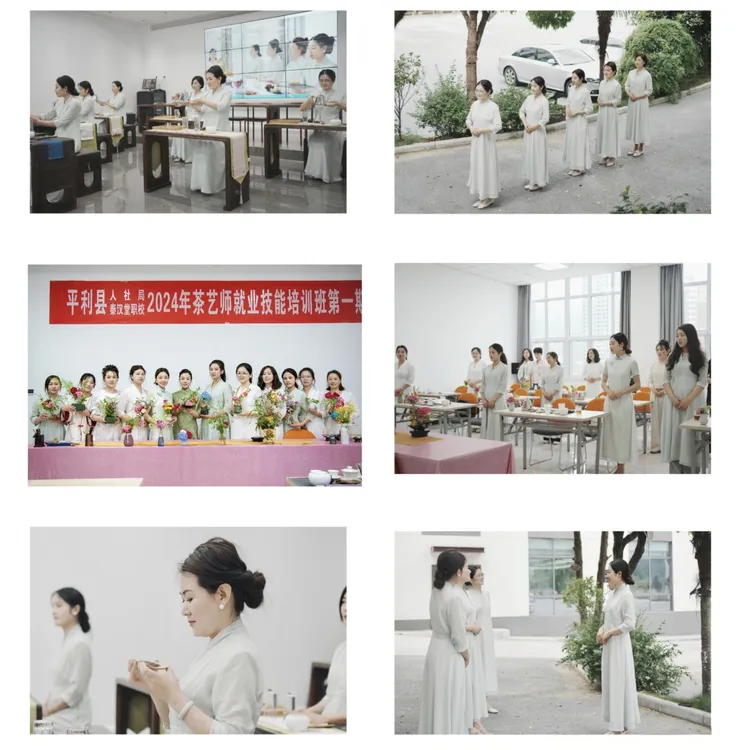 【专业茶艺】中级精修班热招
