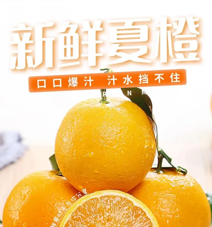 夏橙秭归特产当季新鲜橙子水果速发
