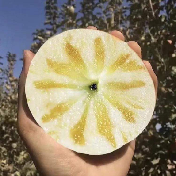 冰糖心水裂纹红富士丑苹果山西运城临猗坡上酥脆香甜多汁新鲜正宗