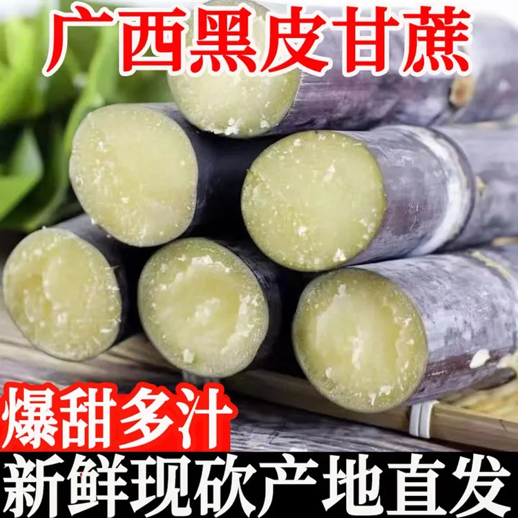 广西黑皮甘蔗应季新鲜水果脆甜多汁现砍现发皮薄清甜整箱