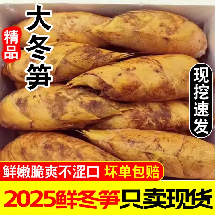 【江浙沪优选】现挖新鲜冬笋2025野生黄泥笋5斤大冬笋毛竹笋整箱