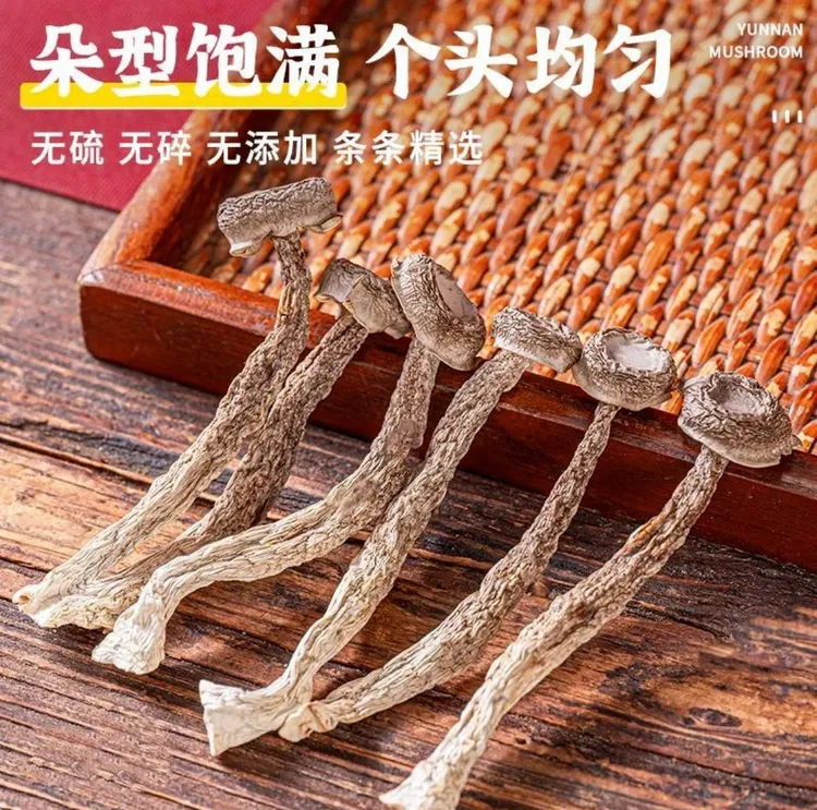干货鹿茸菇无硫无熏可炒肉煲汤农家特产正宗