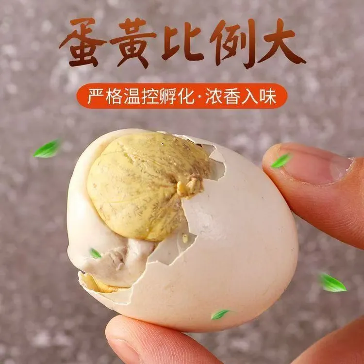 新鲜13天正宗五香香辣味活珠子鸡胚蛋开袋即食营养钢化蛋
