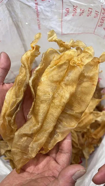 速鲜汇21头大耳金钱鱼胶250g老货干货