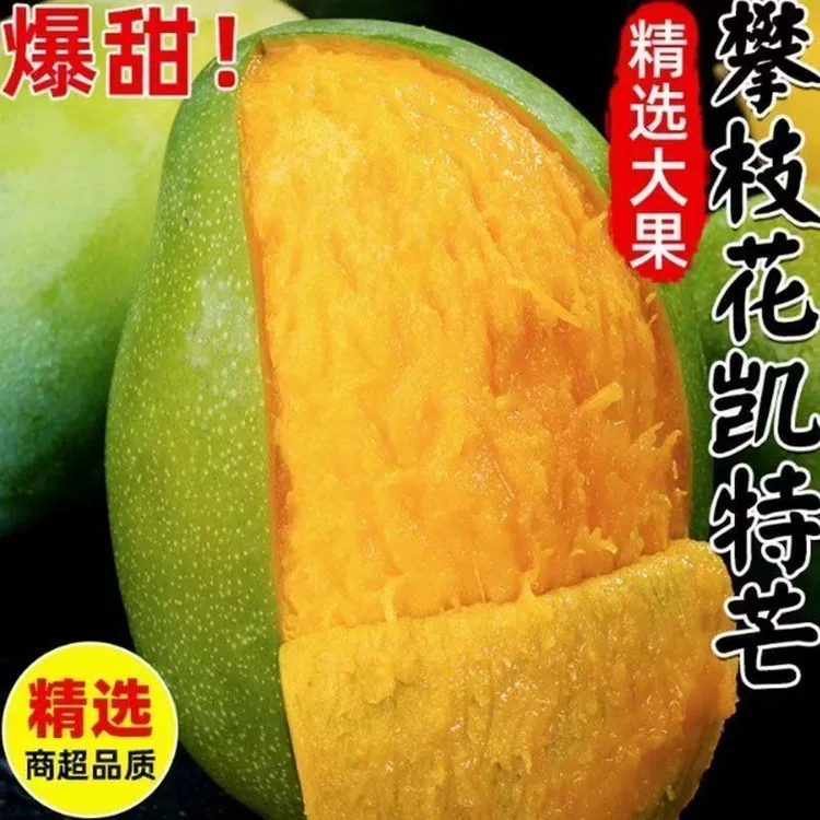 【毛毛专属】攀枝花凯特芒果带箱9-10斤装单果500g+ 特大果5-10个
