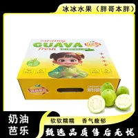 【原箱】[Y]树上熟白芭乐 箱/净重3斤左右