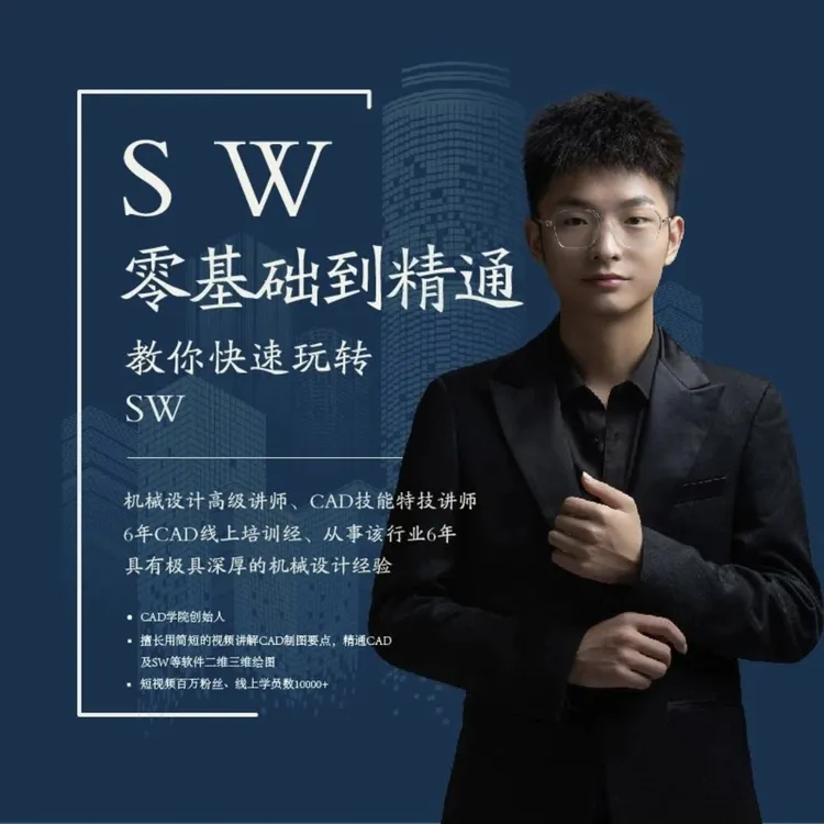 SW132节教程加365天答疑