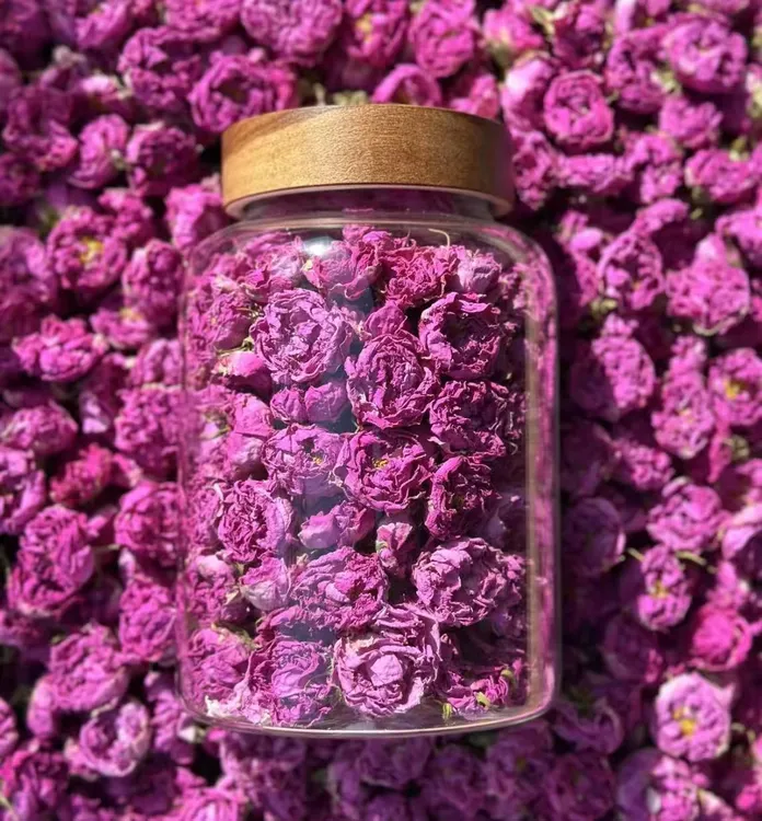 格拉斯玫瑰  千叶玫瑰 玻璃罐装