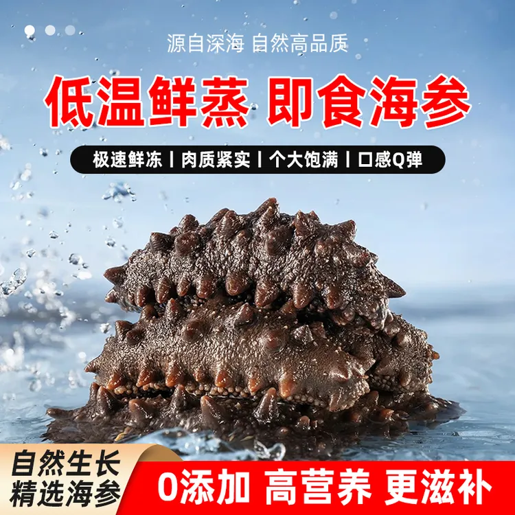 海参鲜蒸即食海参深海刺参青岛海参个大饱满高端节日礼品包邮发货