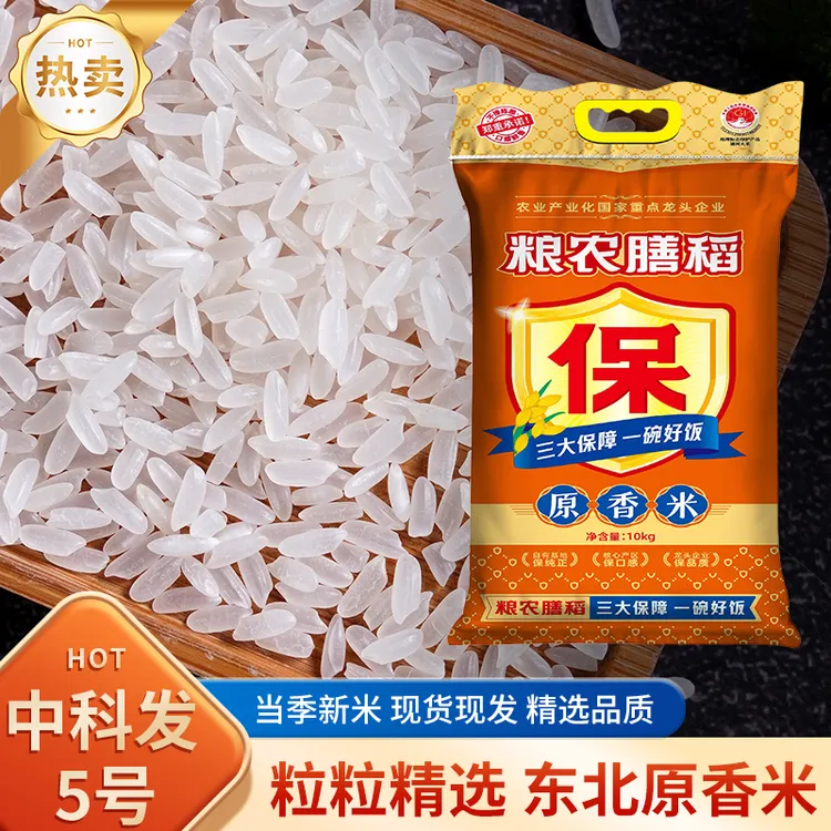 【东北中科发5号20斤】粮农膳稻正宗长粒香米农家优质大米当季新米