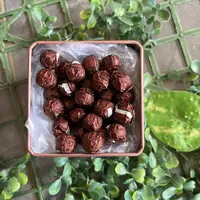 雨腾古茶   Y王Q诊"大FF"Y王X丸纯Y聚N环77g/盒 （9月26）