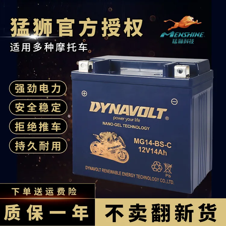 猛狮摩托车电瓶通用春风贝纳利哈雷宝马125踏板豪爵川崎12V蓄电池