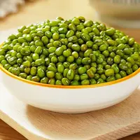 2025年东北笨绿豆新货新绿豆发芽豆绿豆粥绿豆糕绿豆沙绿豆汤易煮