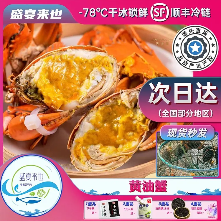 【盛宴特供】郑炳才黄油蟹鲜活膏油黄油蟹正宗老广味道原产地直发