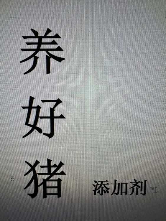 养好猪、猪好养、一套搞定…